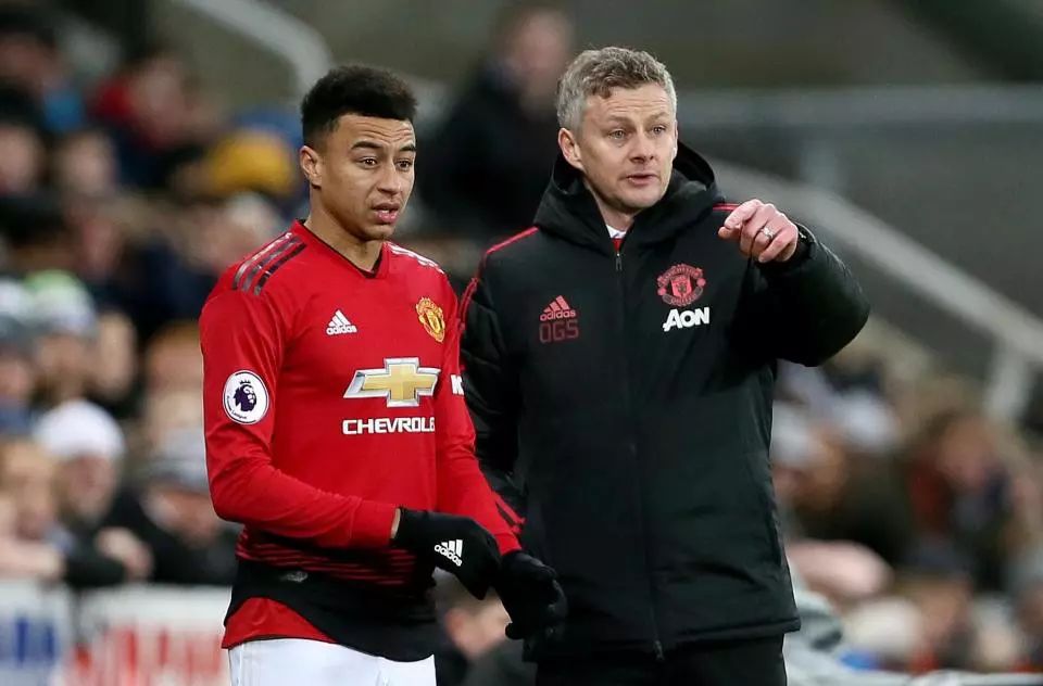 数量庞大 数量庞大